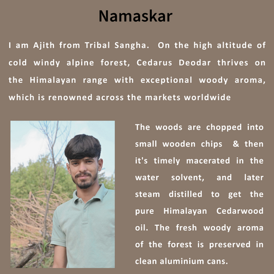 Himalayan Cedarwood Essential Oil