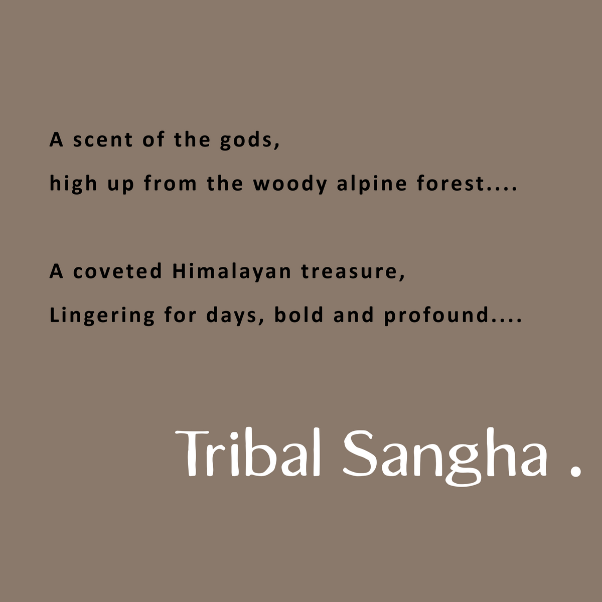 Himalayan cedarwood essential oil described in poetic essence with Tribal Sangha branding