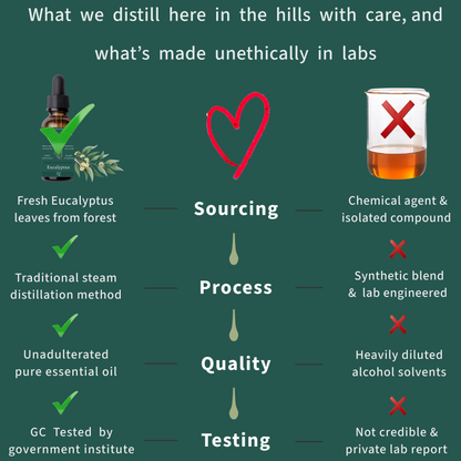 Nilgiris Eucalyptus Essential Oil