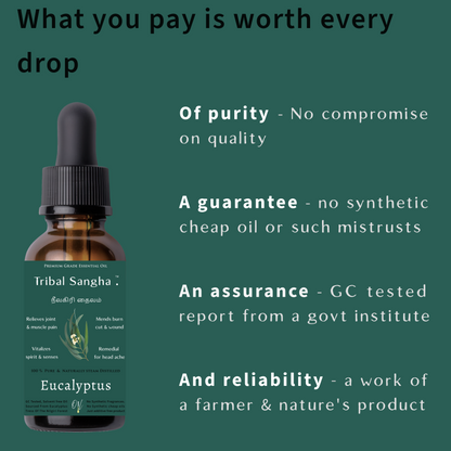 Nilgiris Eucalyptus Essential Oil