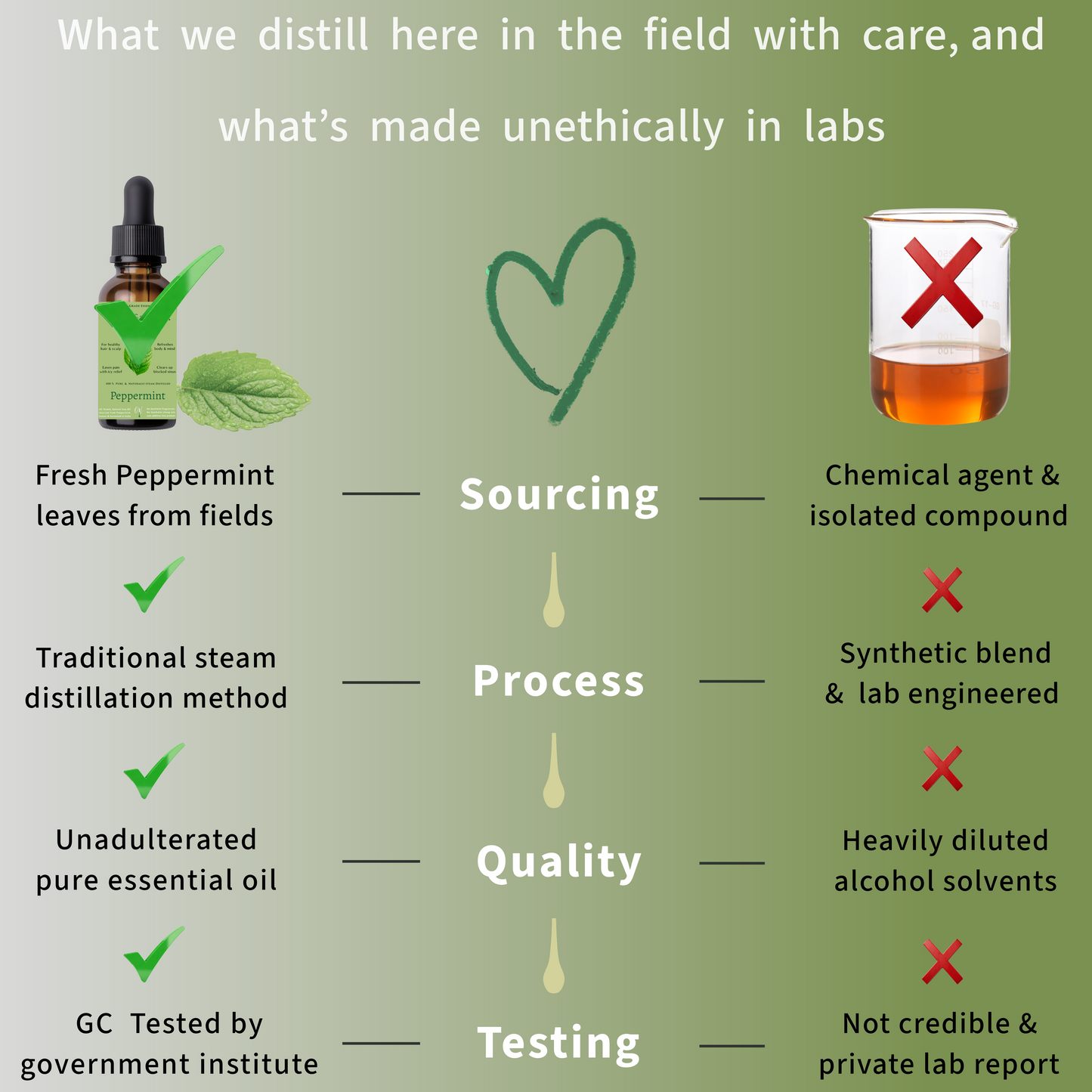 Peppermint Essential Oil
