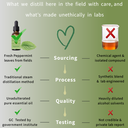 Peppermint Essential Oil