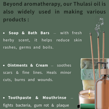 Basil Essential Oil