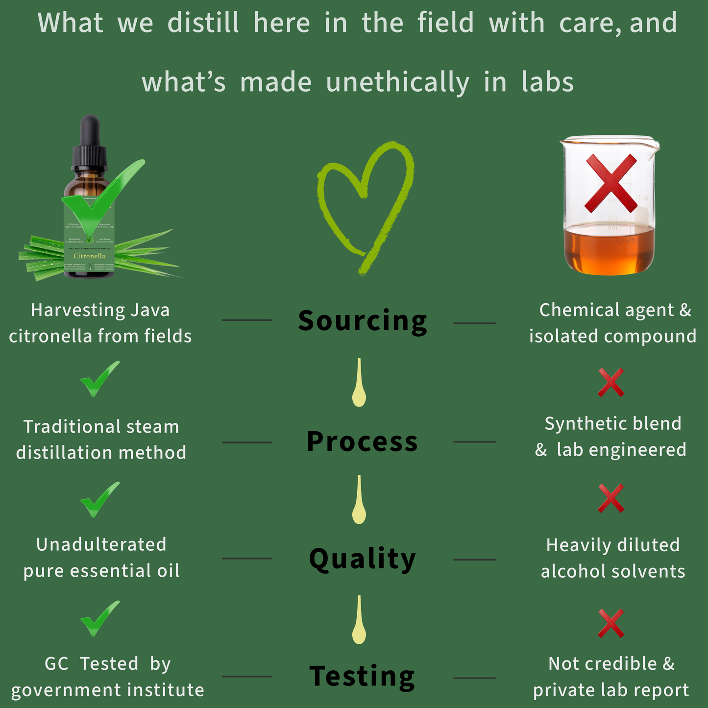 Java Citronella Essential Oil