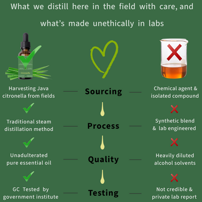 Java Citronella Essential Oil