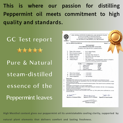 Peppermint Essential Oil