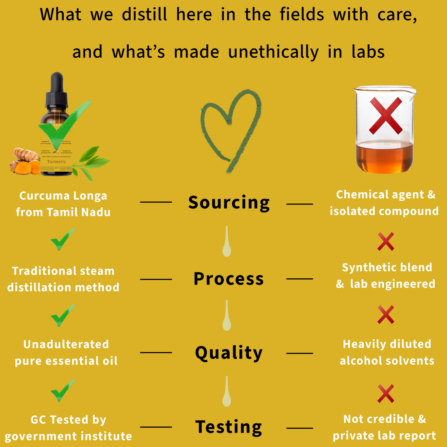 Turmeric Essential Oil