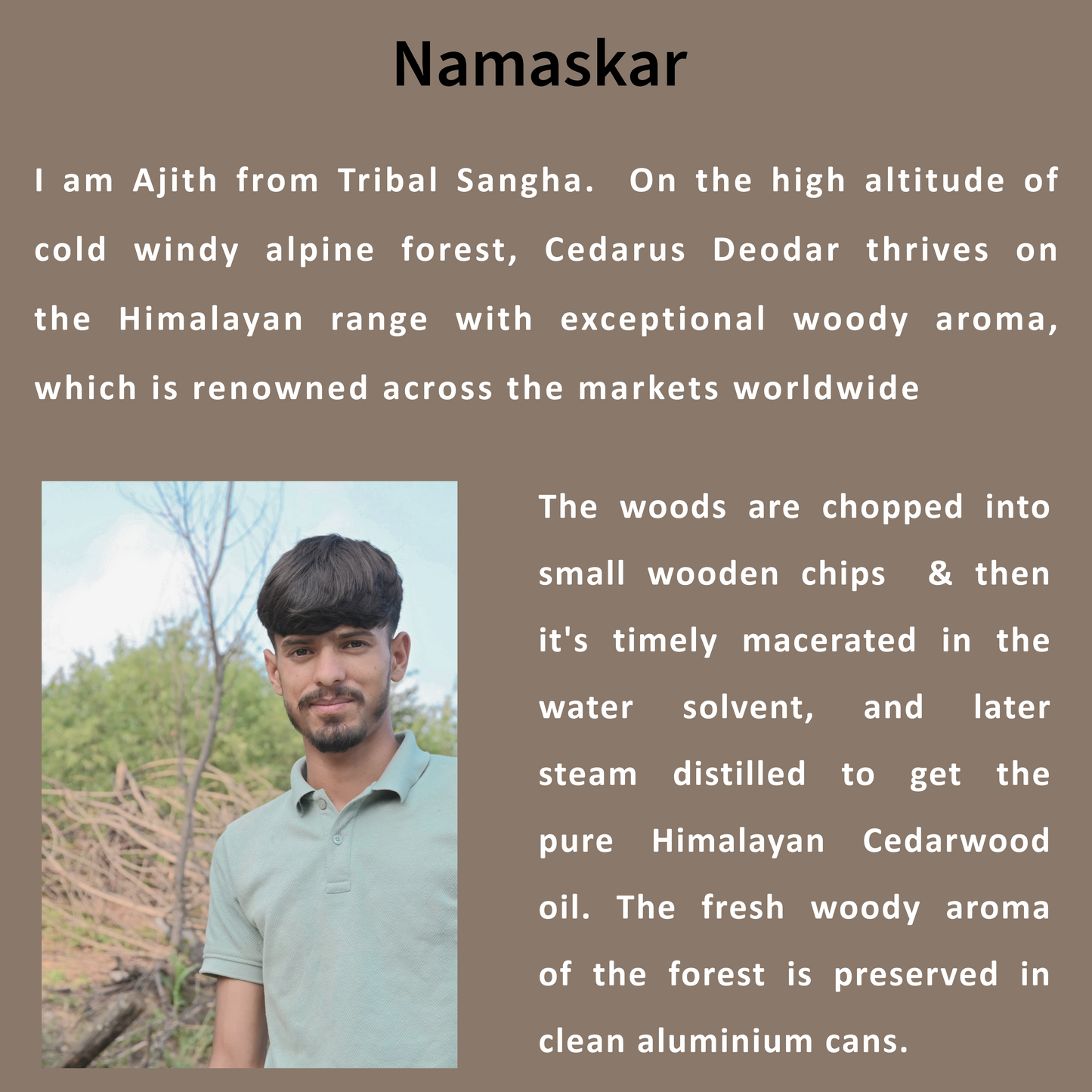 Himalayan Cedarwood Essential Oil