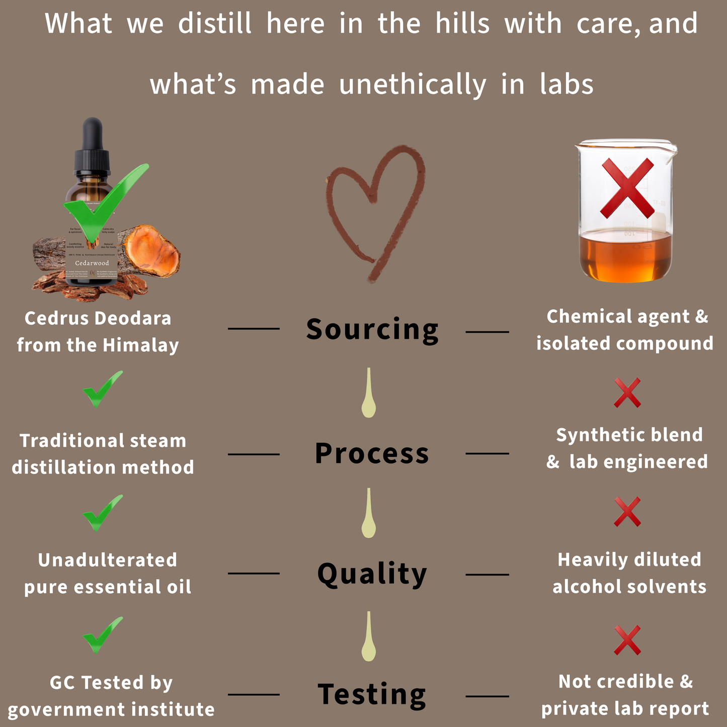 Himalayan Cedarwood Essential Oil