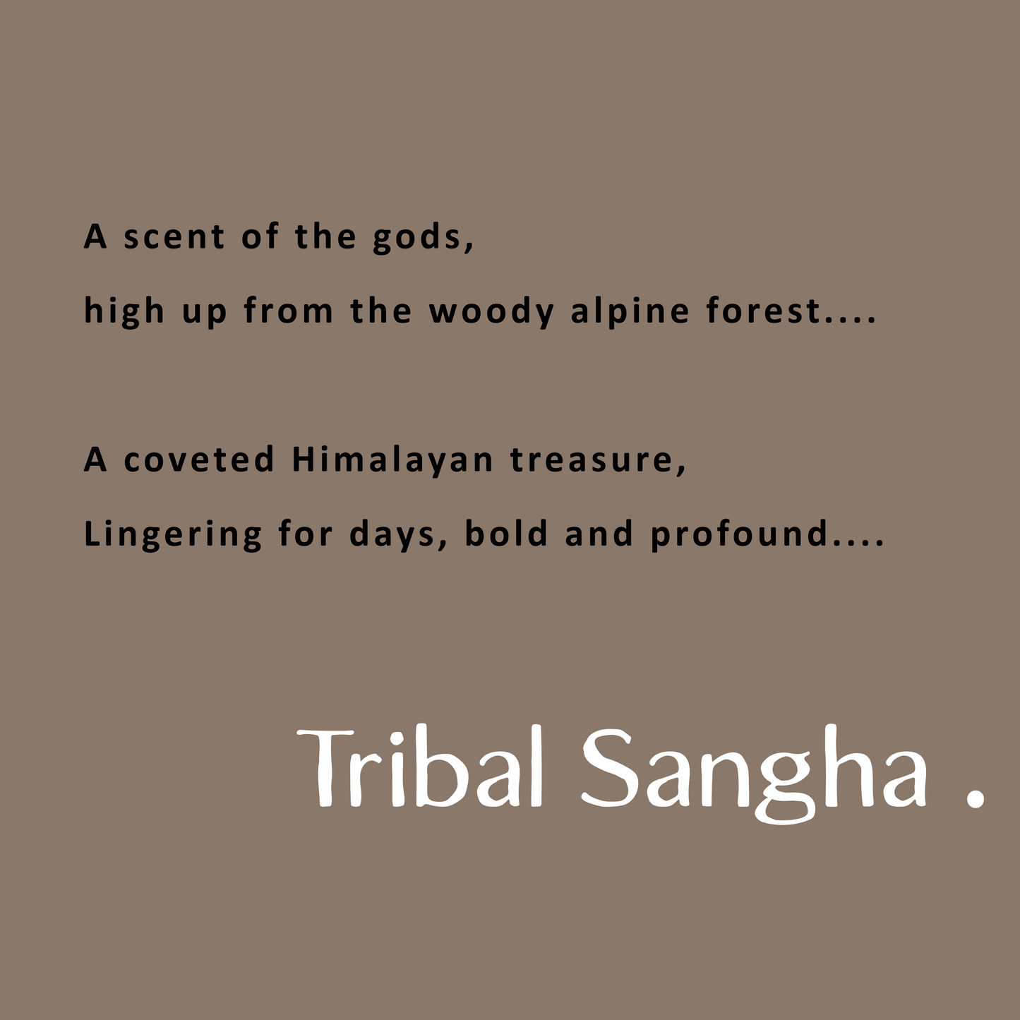 Himalayan Cedarwood Essential Oil