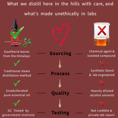 Himalayan Wintergreen Essential Oil