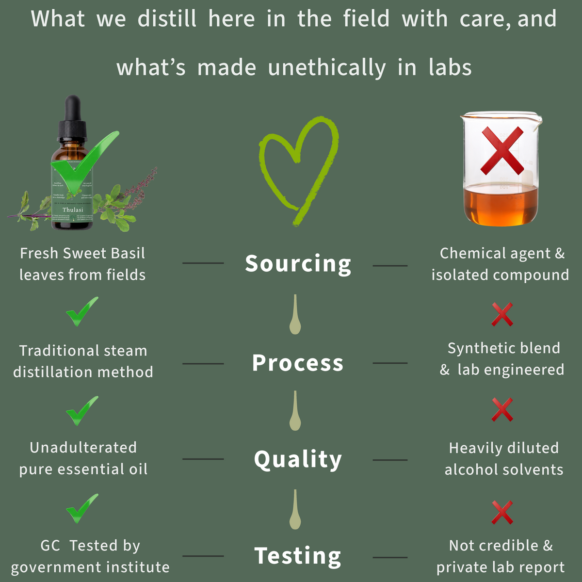 Comparison chart showing ethical and unethical basil essential oil sourcing, distillation, quality and testing practices