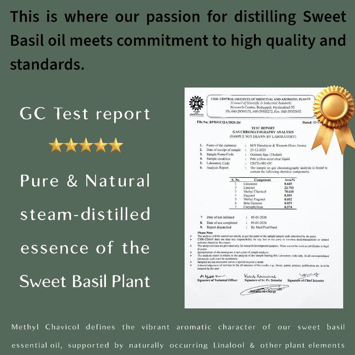 GC test report for basil essential oil showing 70% methyl chavicol, pure steam-distilled and tested at CSIR-CIMAP