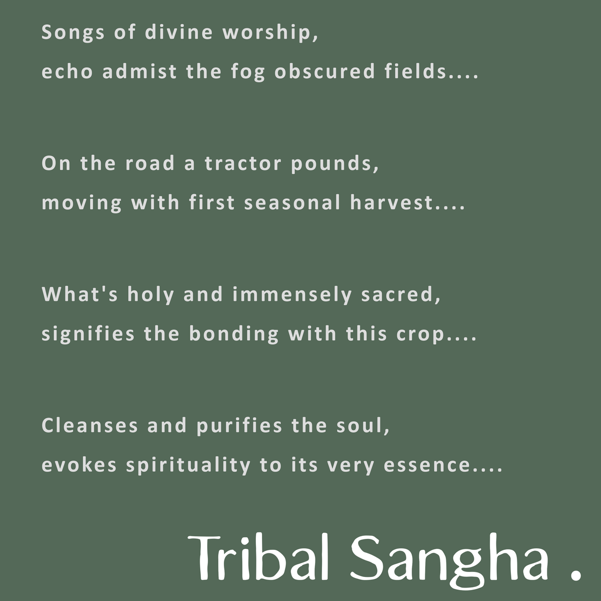 Basil essential oil described in poetic essence with Tribal Sangha branding
