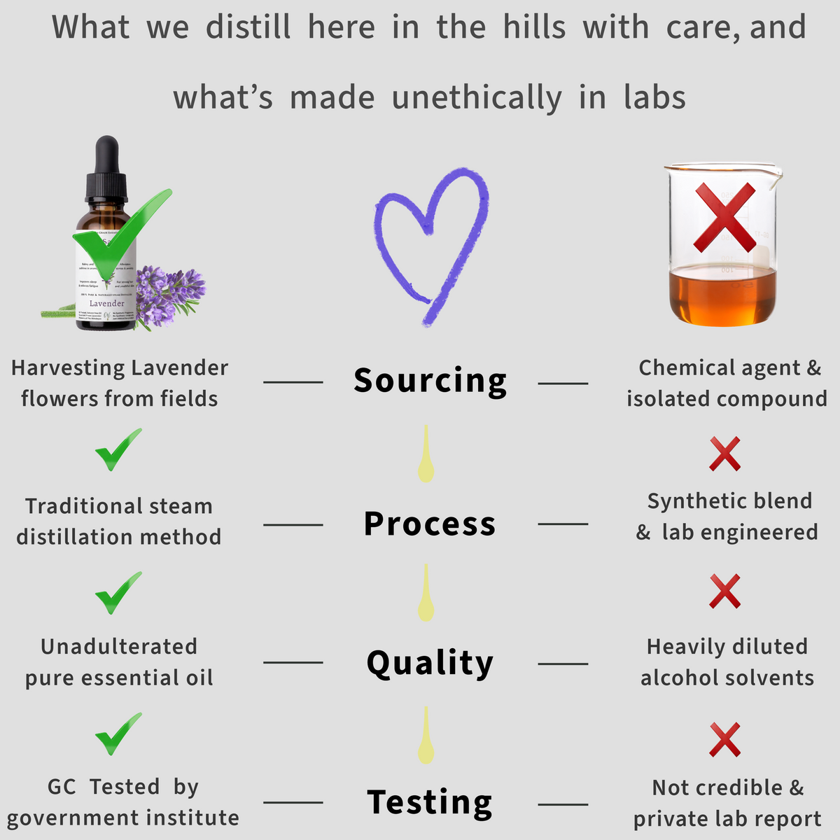 Comparison chart showing ethical and unethical lavender essential oil sourcing, distillation, quality and testing practices