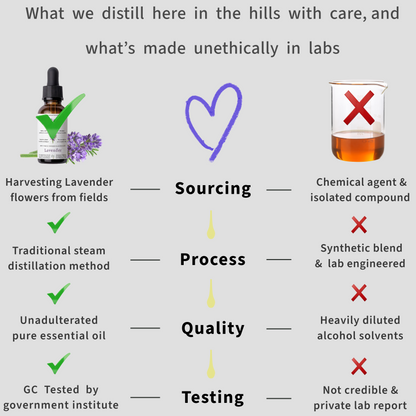 Comparison chart showing ethical and unethical lavender essential oil sourcing, distillation, quality and testing practices