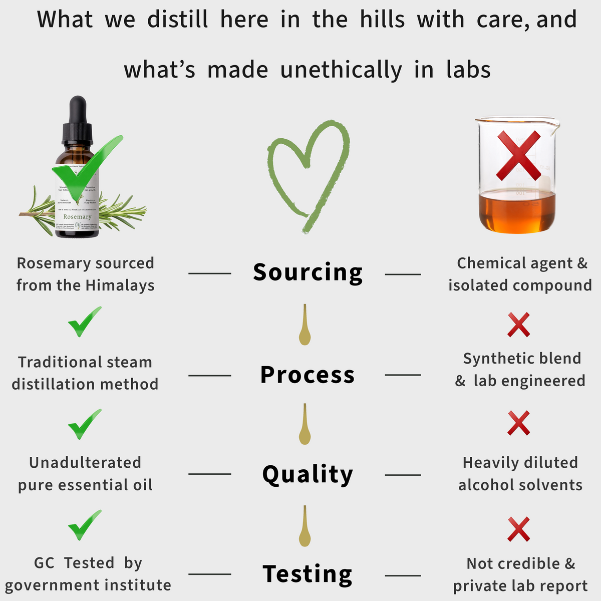 Comparison chart showing ethical and unethical rosemary essential oil sourcing, distillation, quality and testing practices
