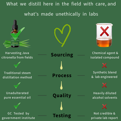 Comparison chart showing ethical and unethical Java citronella essential oil sourcing, distillation, quality and testing practices