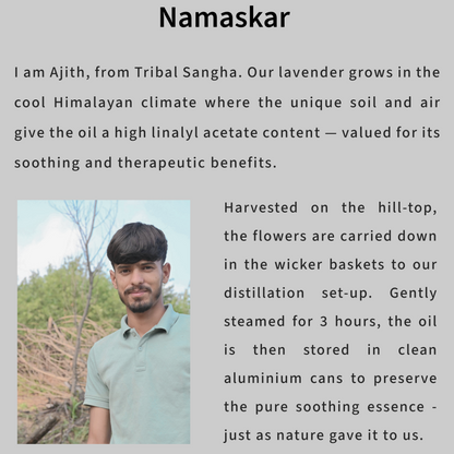 Himalayan Lavender Essential Oil