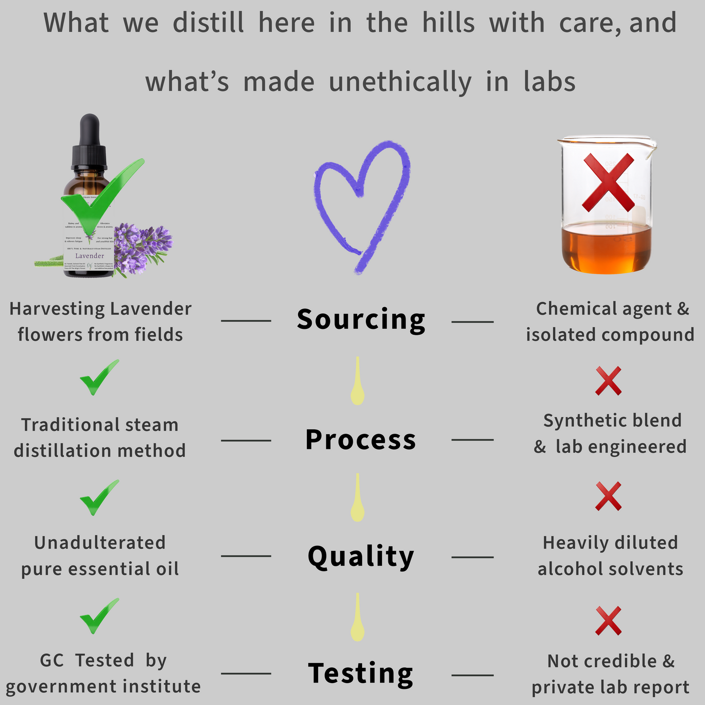 Himalayan Lavender Essential Oil