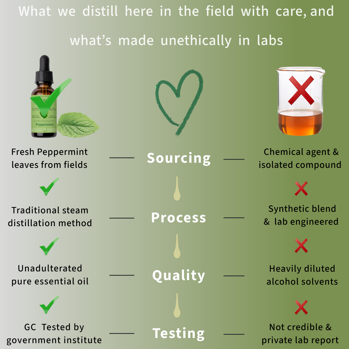 Comparison chart showing ethical and unethical peppermint essential oil sourcing, distillation, quality and testing practices
