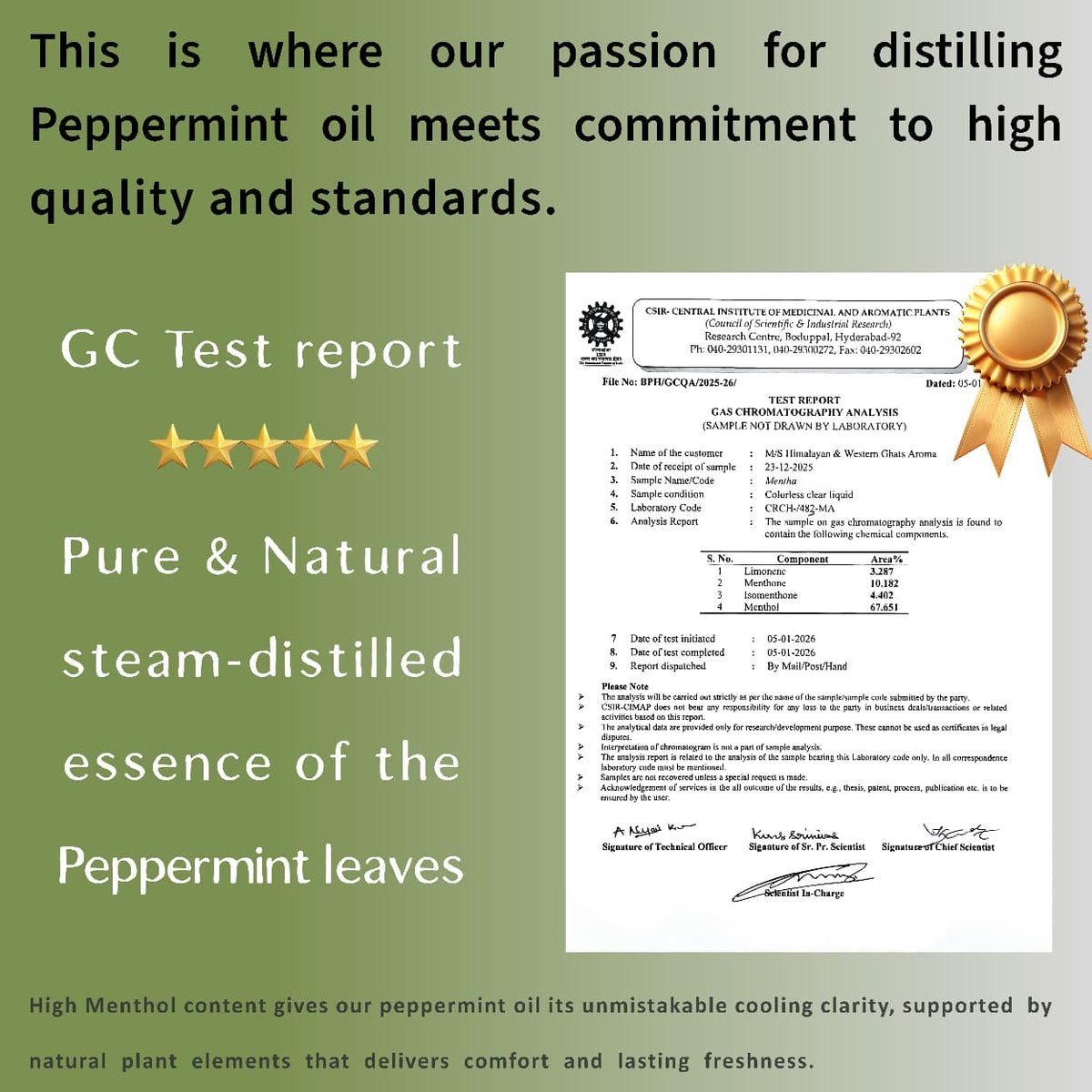 GC test report for peppermint essential oil showing 67% menthol content, pure steam-distilled and tested at CSIR-CIMAP