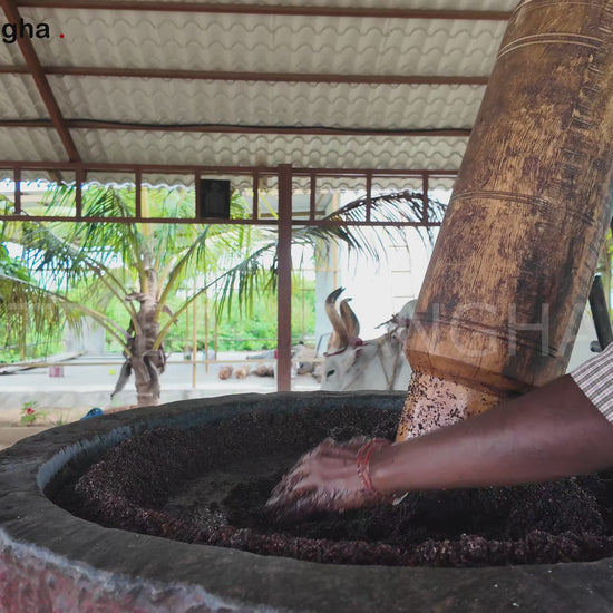 Video showing traditional bull-driven process for extracting stone-pressed sesame baby oil
