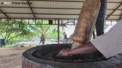 Video showing traditional bull-driven process for extracting stone-pressed sesame baby oil