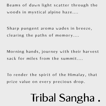 Himalayan Rosemary Essential Oil