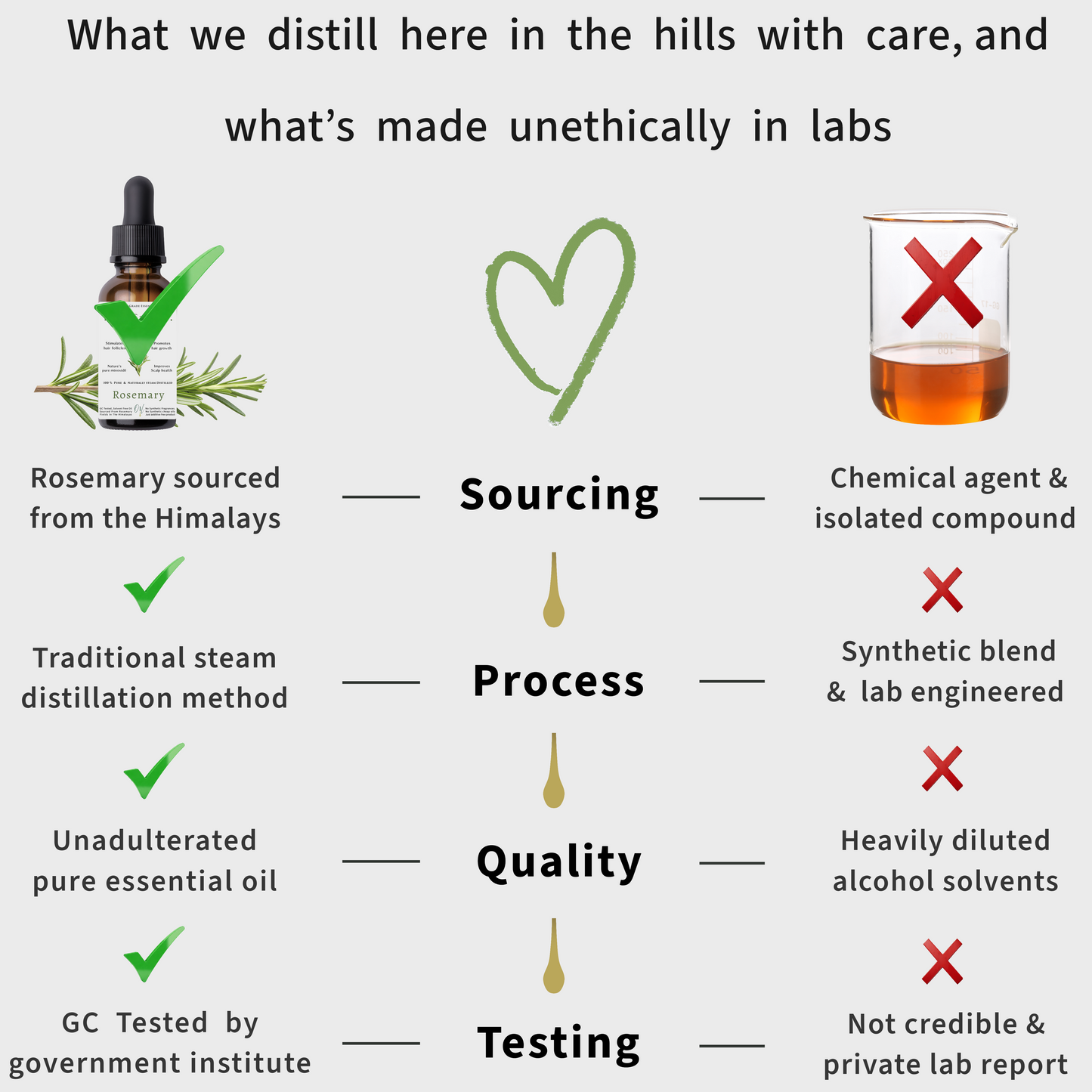 Himalayan Rosemary Essential Oil