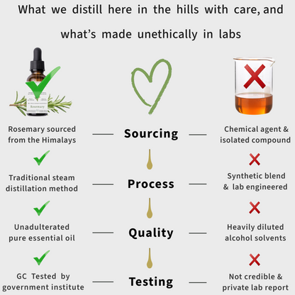 Himalayan Rosemary Essential Oil